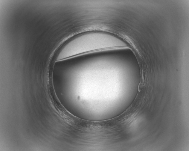X0000076040531200609220921