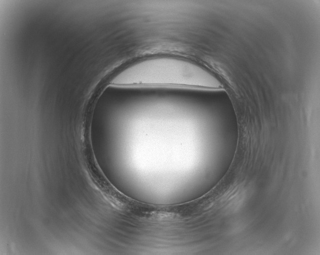 X0000076040539200609220921