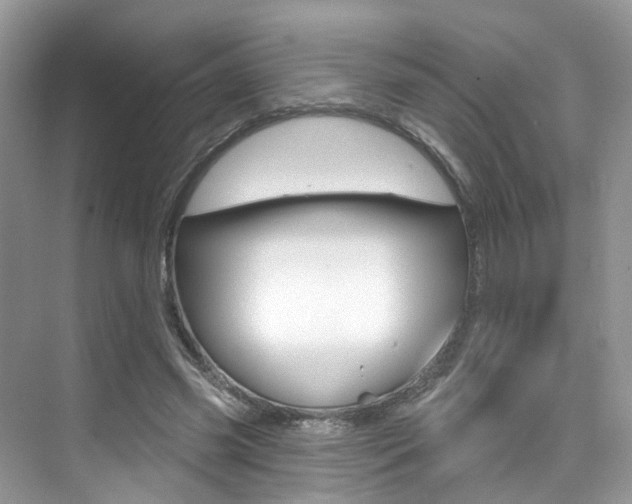X0000076040541200609220921
