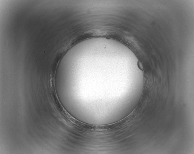 X0000076040549200609220921