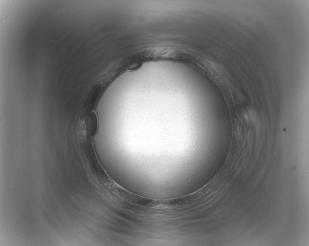 X0000076040551200609220921