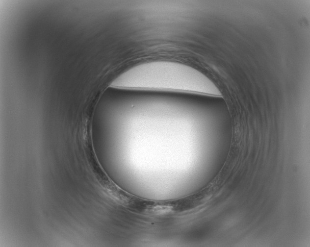 X0000076040554200609220921