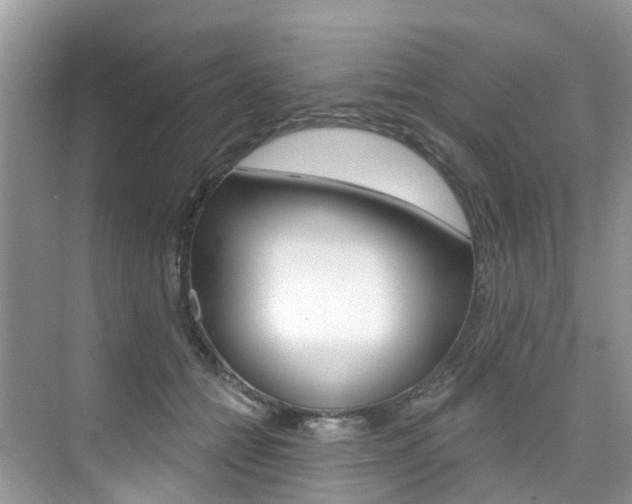 X0000076040558200609220921