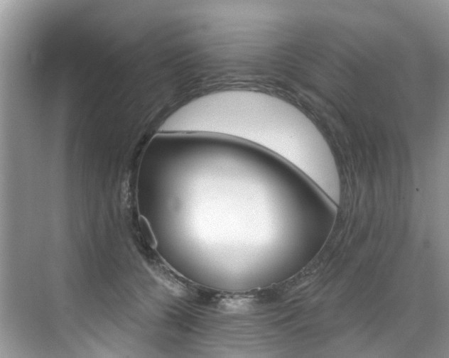 X0000076040560200609220921