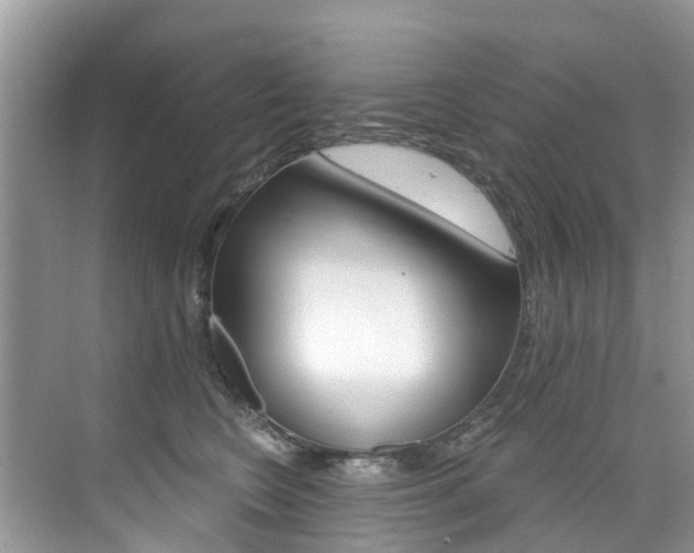 X0000076040566200609220921