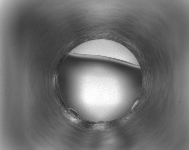 X0000076040574200609220922