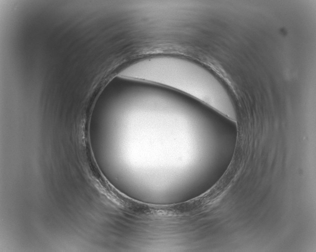 X0000076040585200609220921