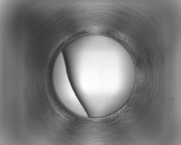 X0000076040591200609220921