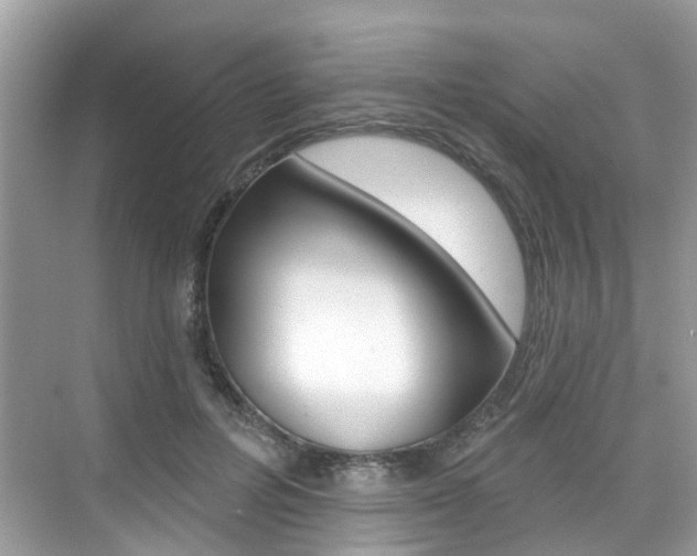 X0000076040600200609220920