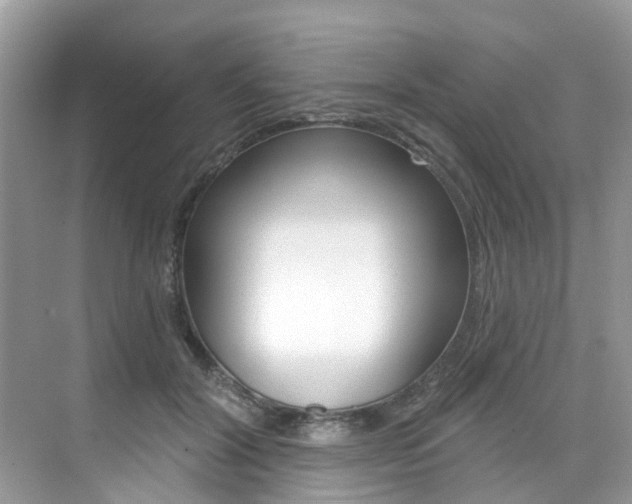X0000076040604200609220920