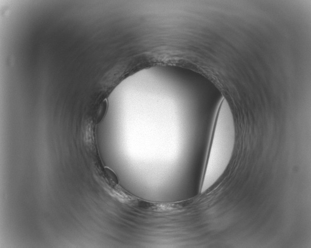 X0000076040623200609220920