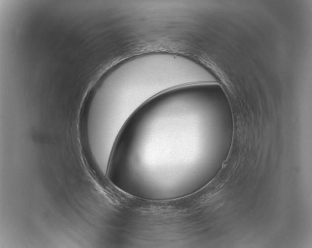 X0000076040626200609220919