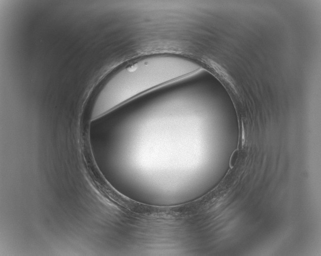 X0000076040627200609220919