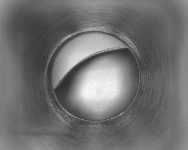X0000076040628200609220919