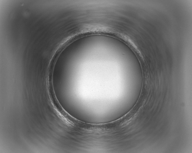 X0000076040629200609220919