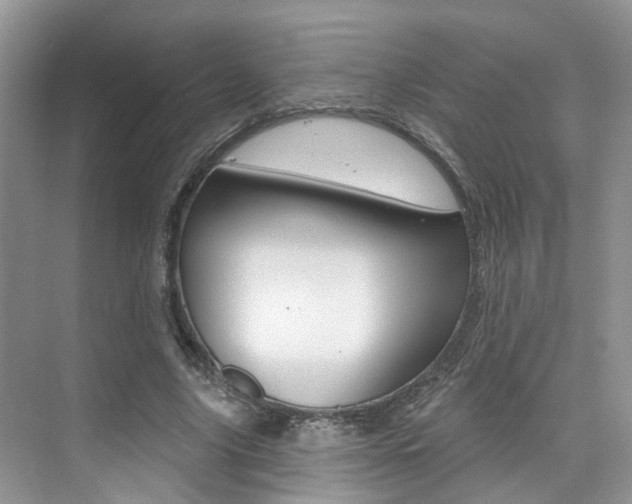 X0000076040635200609220919
