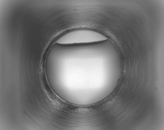 X0000076040636200609220919