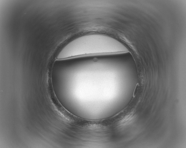 X0000076040637200609220919