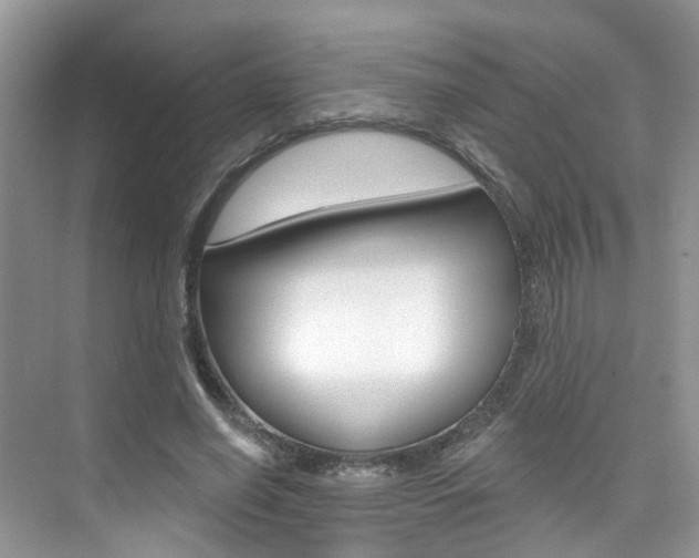 X0000076040638200609220919