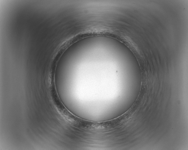 X0000076040640200609220919