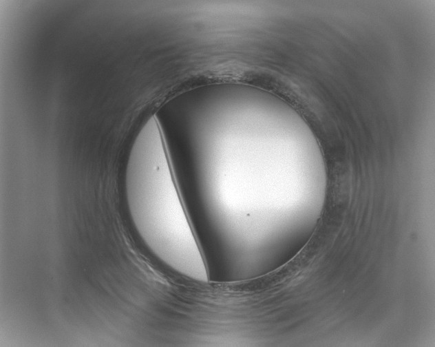 X0000076040641200609220919
