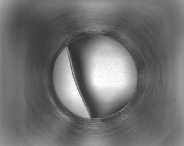 X0000076040642200609220919