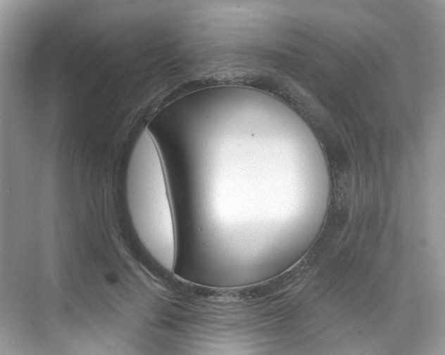 X0000076040644200609220919