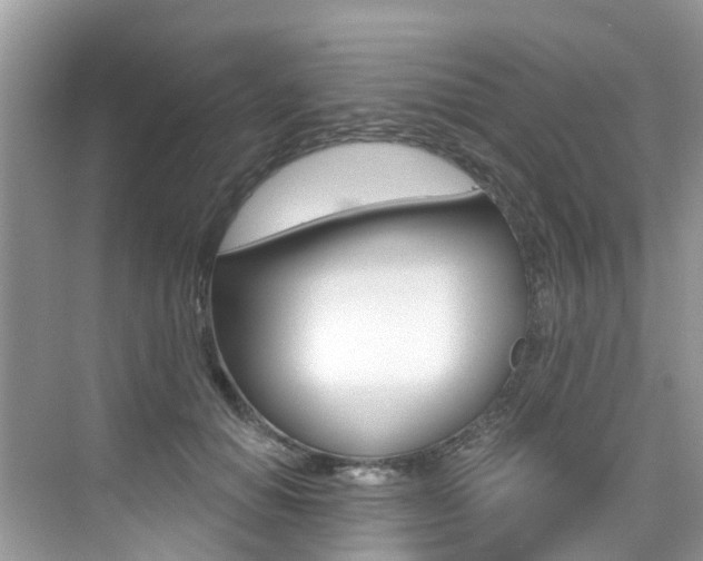 X0000076040654200609220920