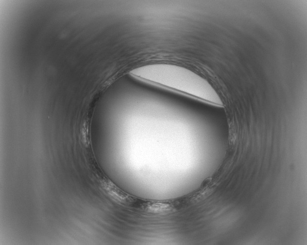X0000076040669200609220920