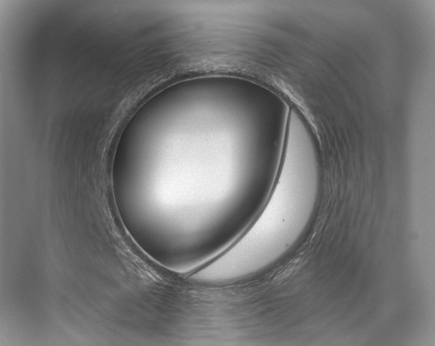 X0000076040673200609220919