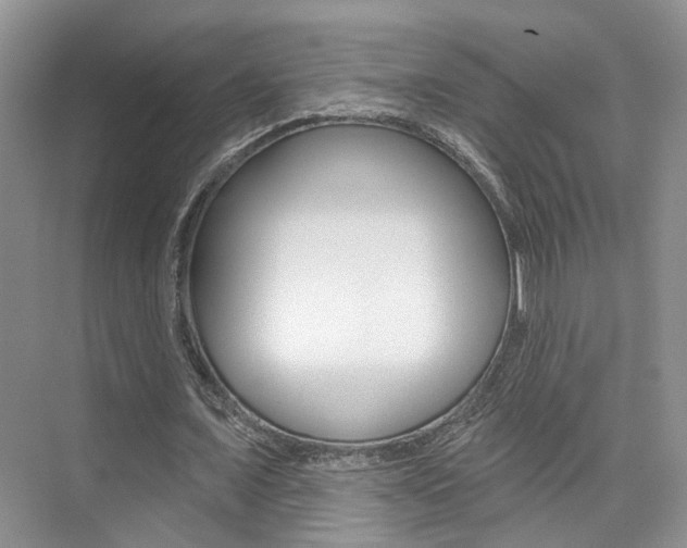 X0000076040675200609220919