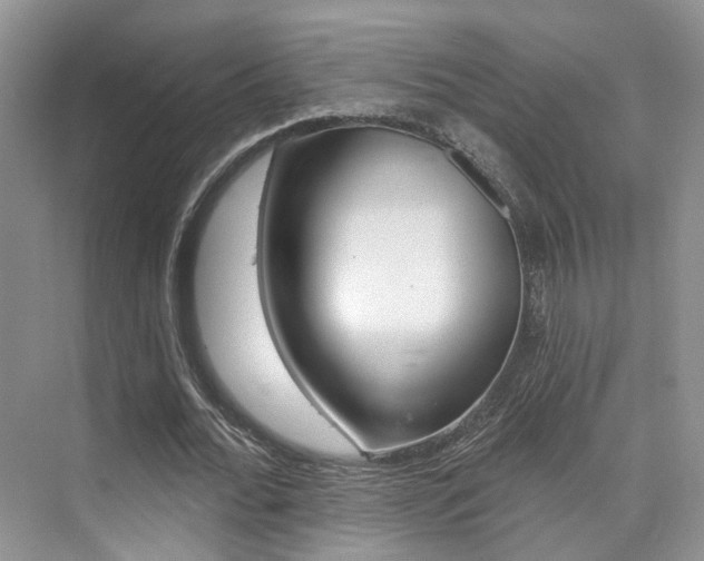 X0000076040676200609220919