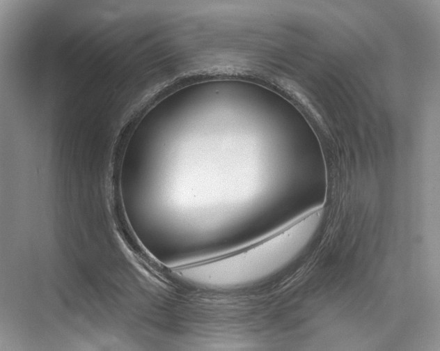 X0000076040677200609220919