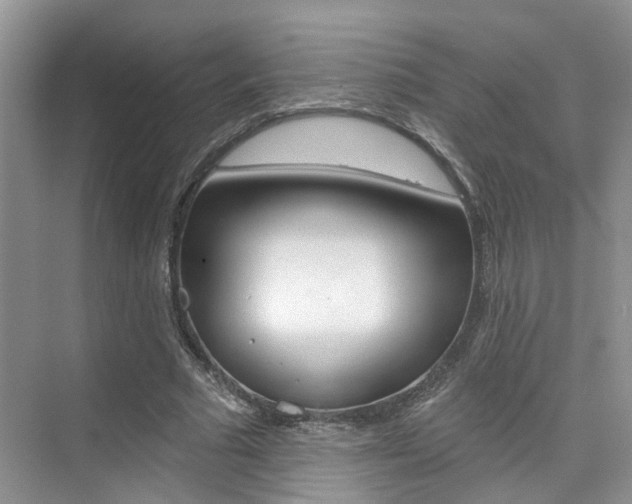 X0000076040681200609220919