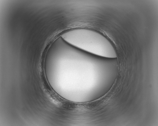 X0000076040682200609220919