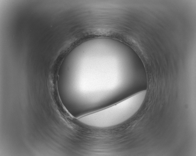 X0000076040688200609220919