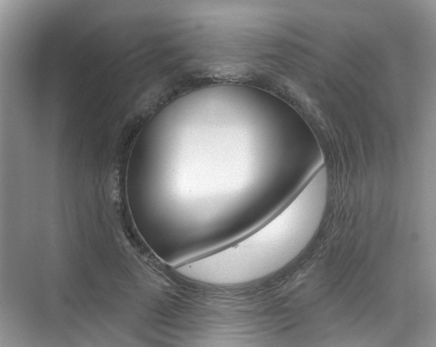 X0000076040689200609220919