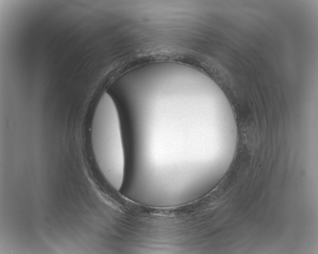 X0000076040690200609220919
