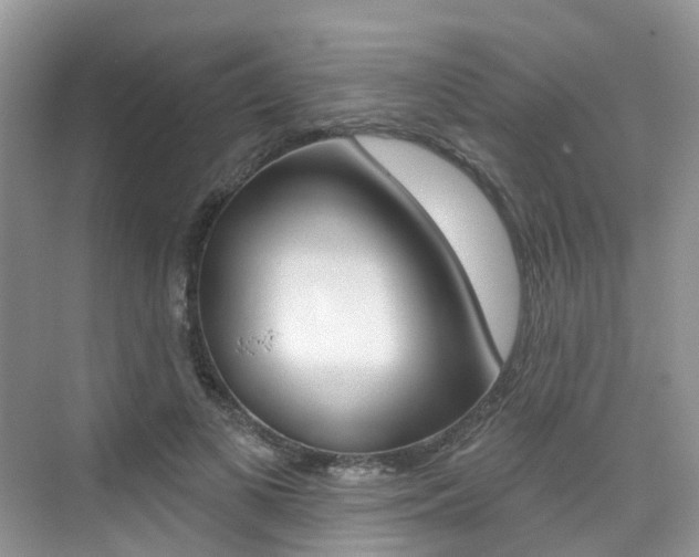 X0000076040693200609220919