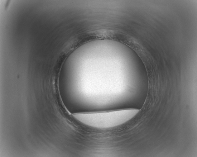 X0000076040696200609220919