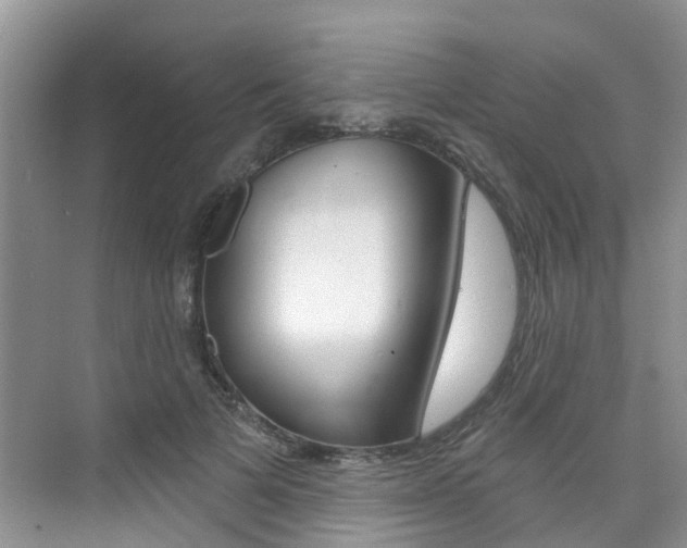 X0000076040697200609220919