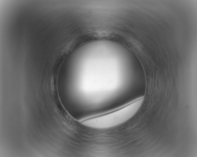X0000076040700200609220919