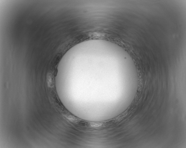 X0000076040709200609220919