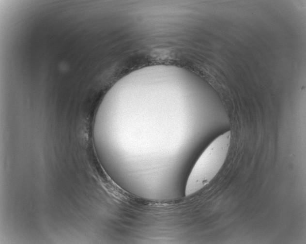 X0000076040710200609220919