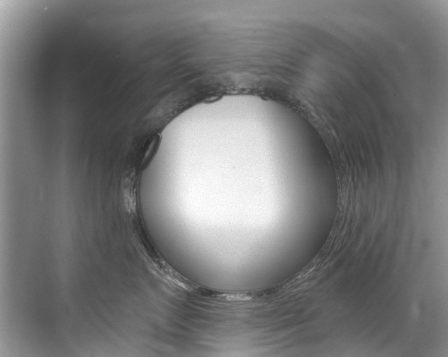 X0000076040719200609220918