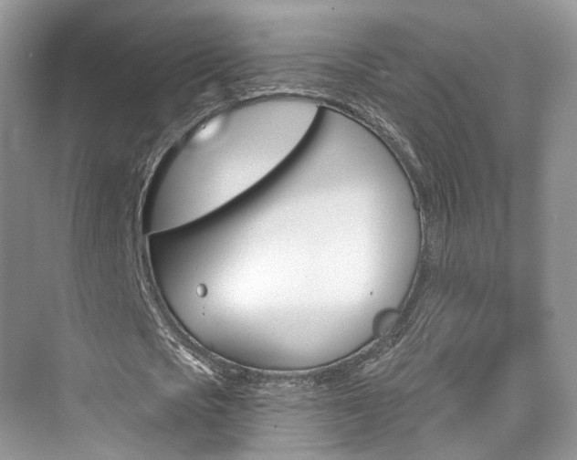 X0000076040721200609220918