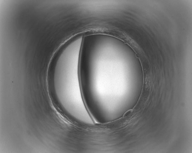 X0000076040722200609220918