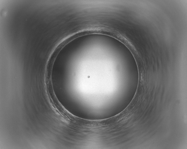 X0000076040724200609220918