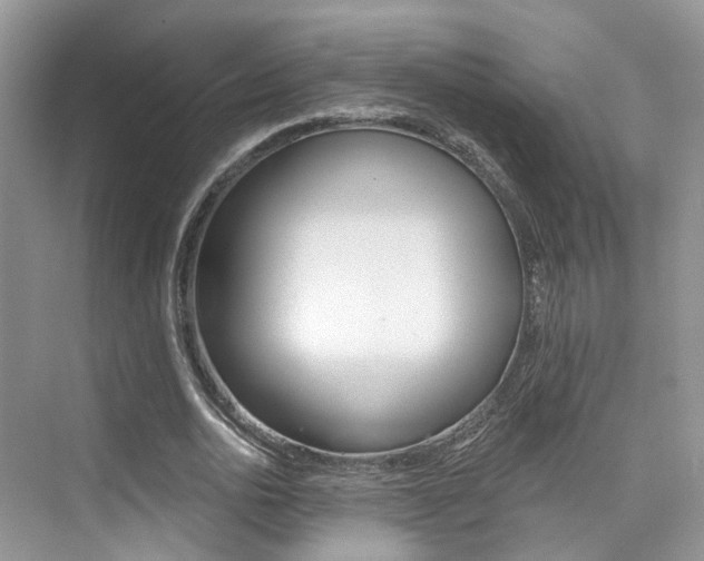 X0000076040726200609220918