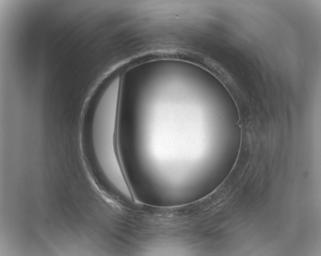 X0000076040728200609220918
